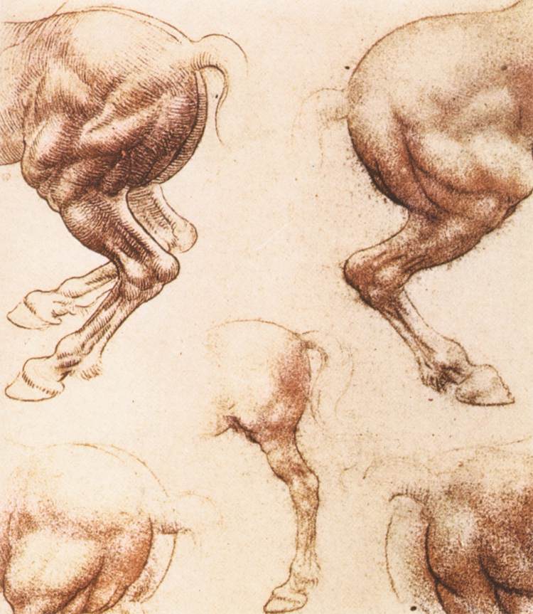 Leonardo+da+Vinci-1452-1519 (937).jpg
